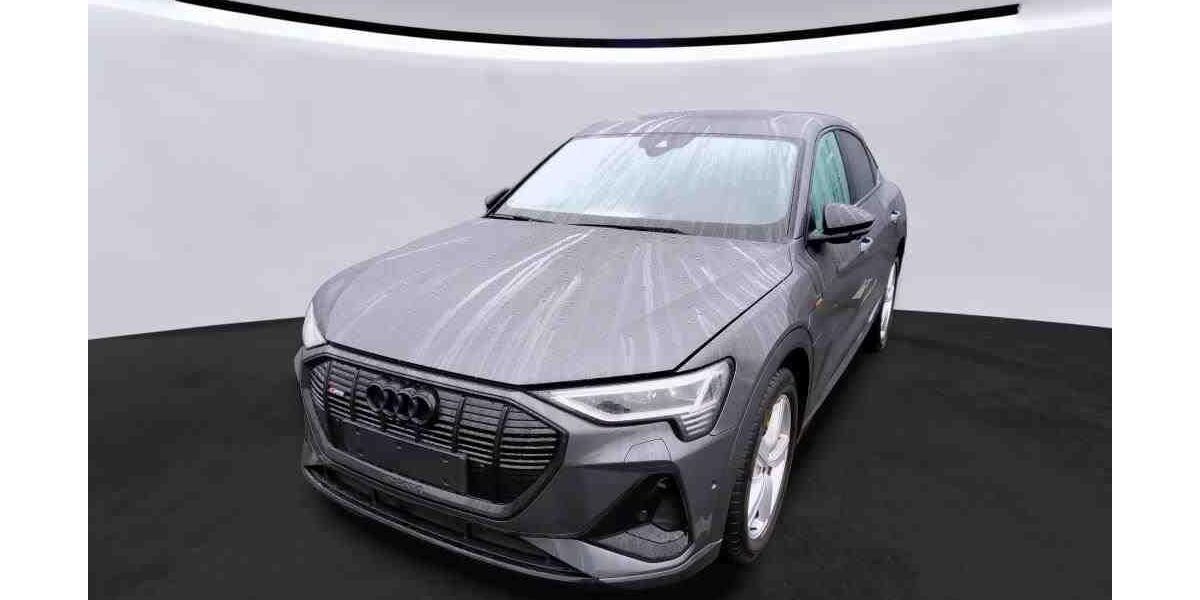 Audi e-tron 49.917 km 37.950 &euro; Hamburg 22047