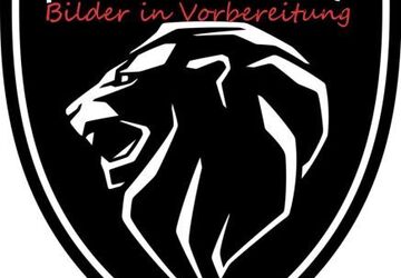 Peugeot 3008 34.100 km 24.650 &euro; Hollern-Twielenfleth 21723