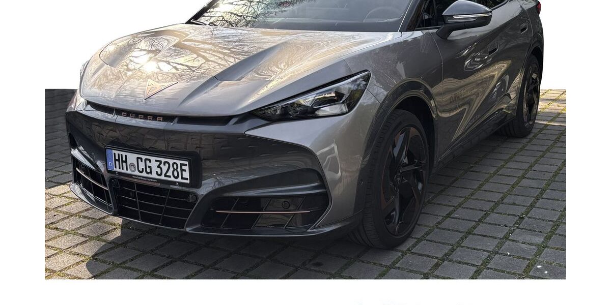 Cupra Tavascan 1.995 km 49.994 &euro; Hamburg 22529