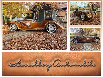 Gebrauchte Morgan Plus 8