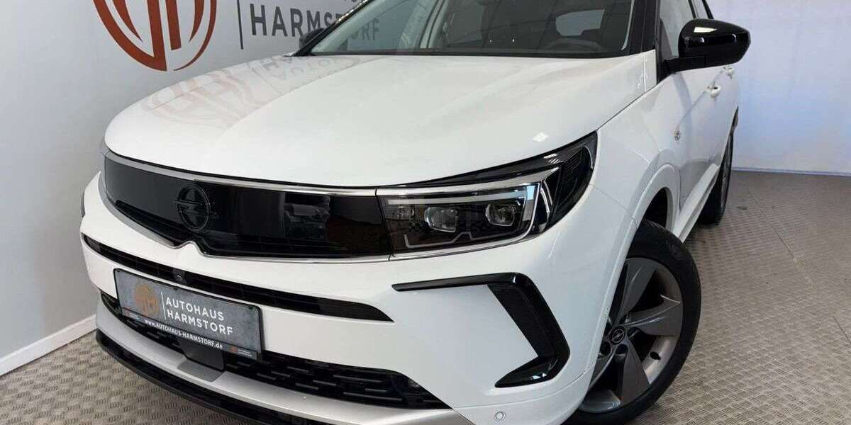 Opel Grandland X 20.700 km 24.890 &euro; Harmstorf 21228