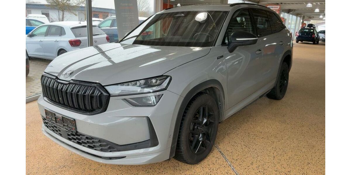 Skoda Kodiaq 19.700 km 47.950 &euro; Geesthacht bei Hamburg 21502