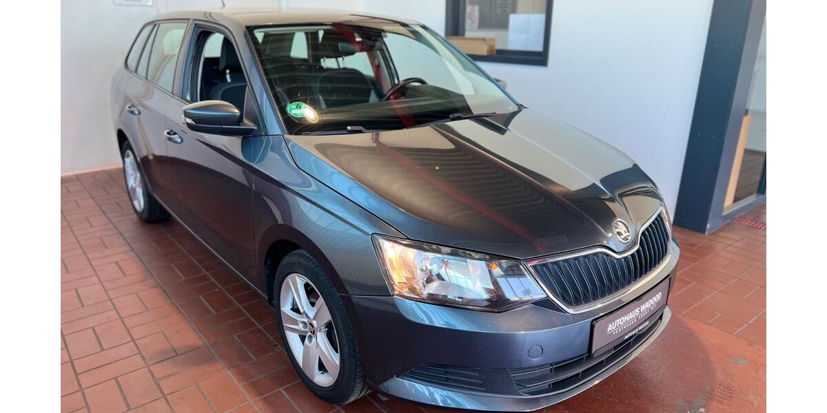 Skoda Fabia 141.062 km 5.500 &euro; Henstedt-Ulzburg (bei Hamburg) 24558