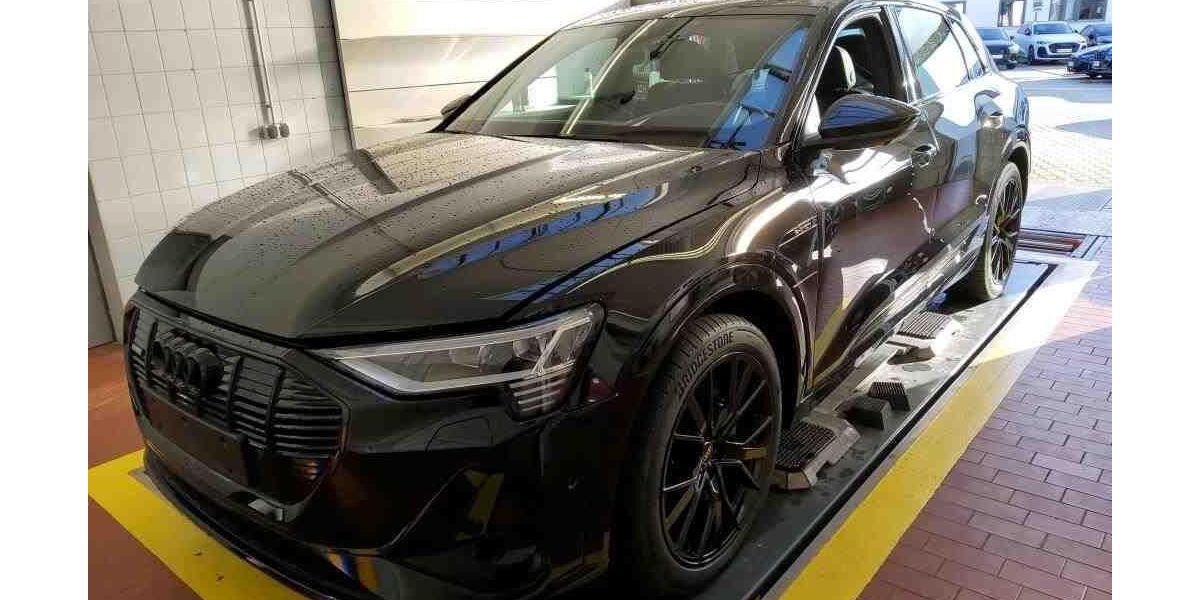 Audi e-tron 47.991 km 38.950 &euro; Hamburg 22047