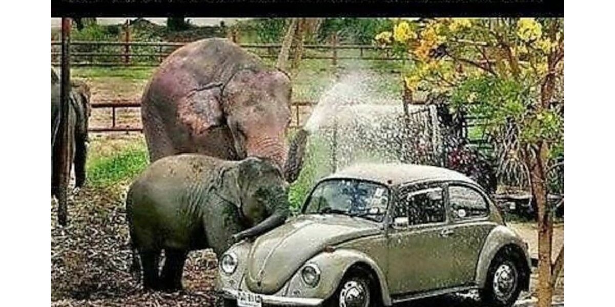 BMW 320 iAut Cabrio Klimaaut Leder Bluet PDC Bi-Xen 106.000 km 15.700 &euro; Seevetal - Hittfeld 21218