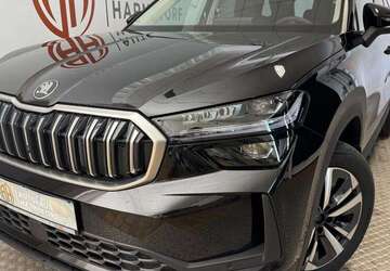 Skoda Kodiaq 1.100 km 39.390 &euro; Harmstorf 21228