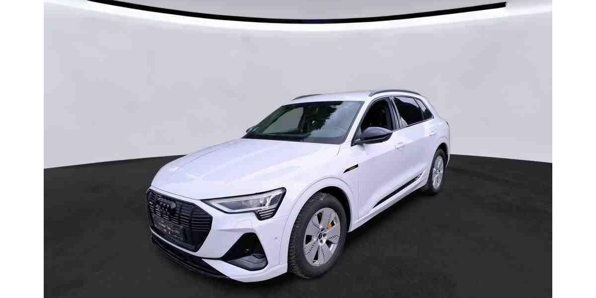 Audi e-tron 25.107 km 40.450 &euro; Hamburg 22047