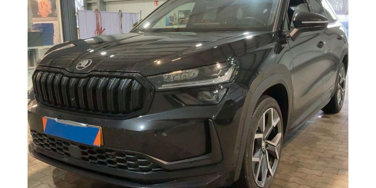 Skoda Kodiaq 17.500 km 47.950 &euro; Geesthacht 21502
