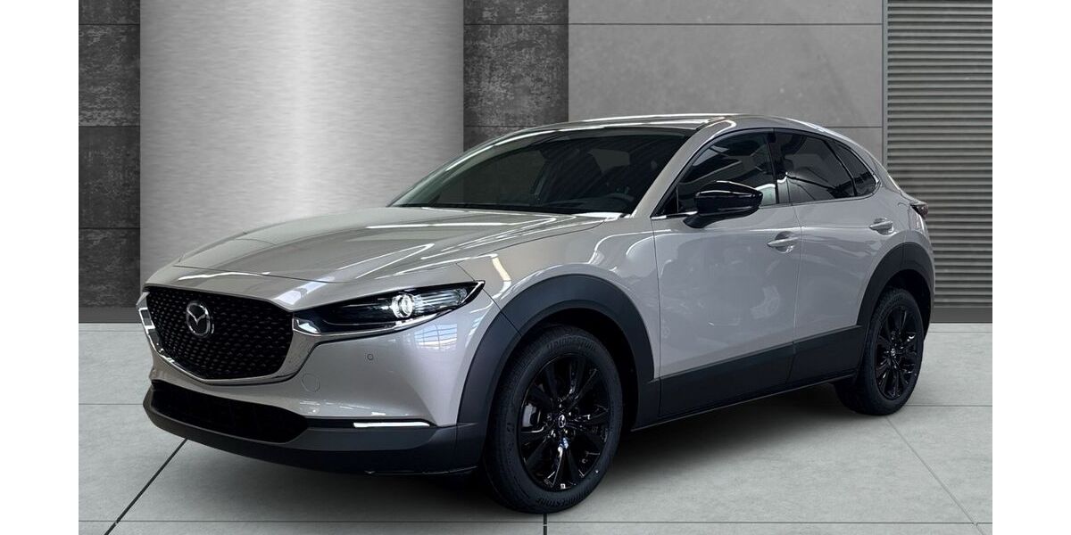 Mazda CX-30 13.752 km 26.990 &euro; Hamburg 21079