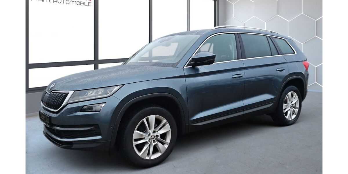 Skoda Kodiaq 145.800 km 20.985 &euro; Pinneberg 25421