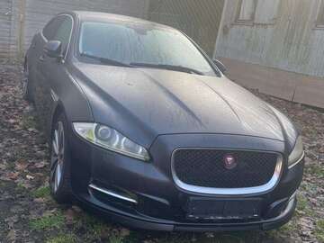 Gebrauchte Jaguar XJ