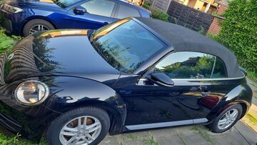 Gebrauchte VW Beetle