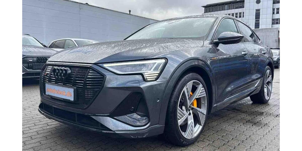 Audi e-tron 38.114 km 38.950 &euro; Hamburg 22047