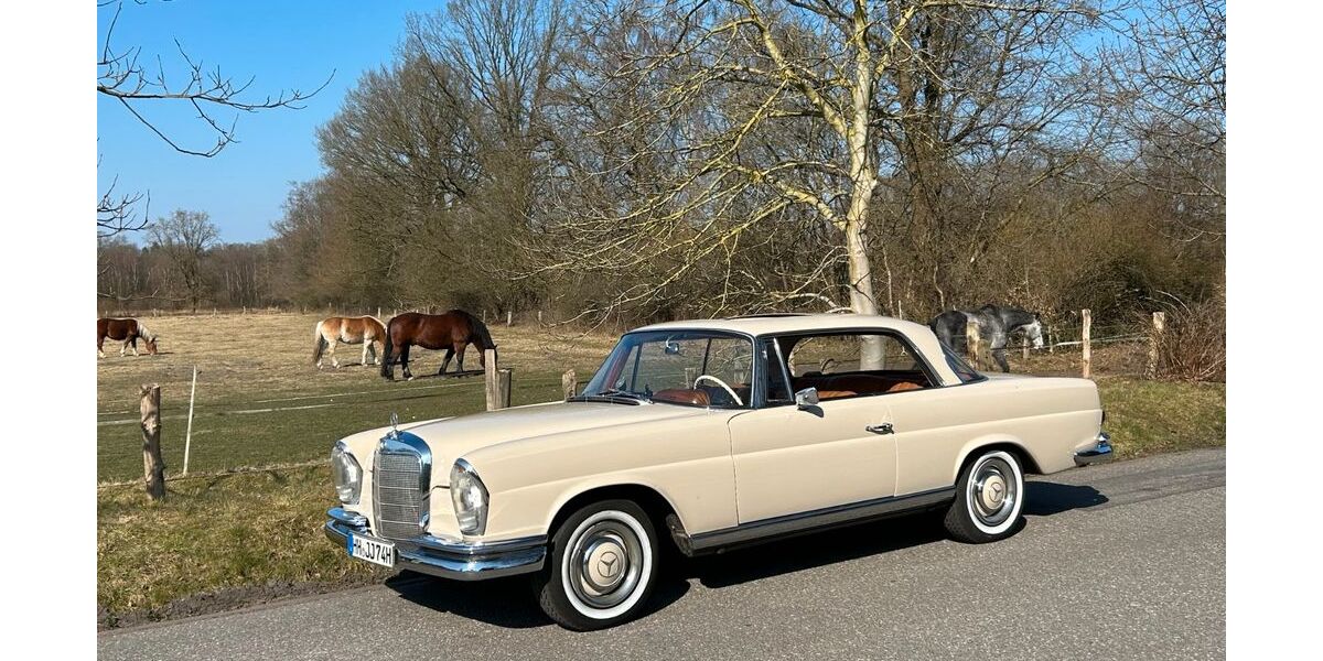 Mercedes-Benz 250 250.000 km 66.000 &euro; Hamburg 22399