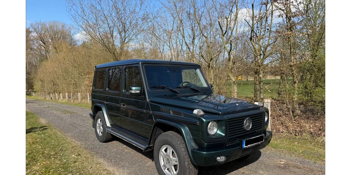 Mercedes-Benz G 320 197.500 km 34.900 &euro; Hamburg 20149