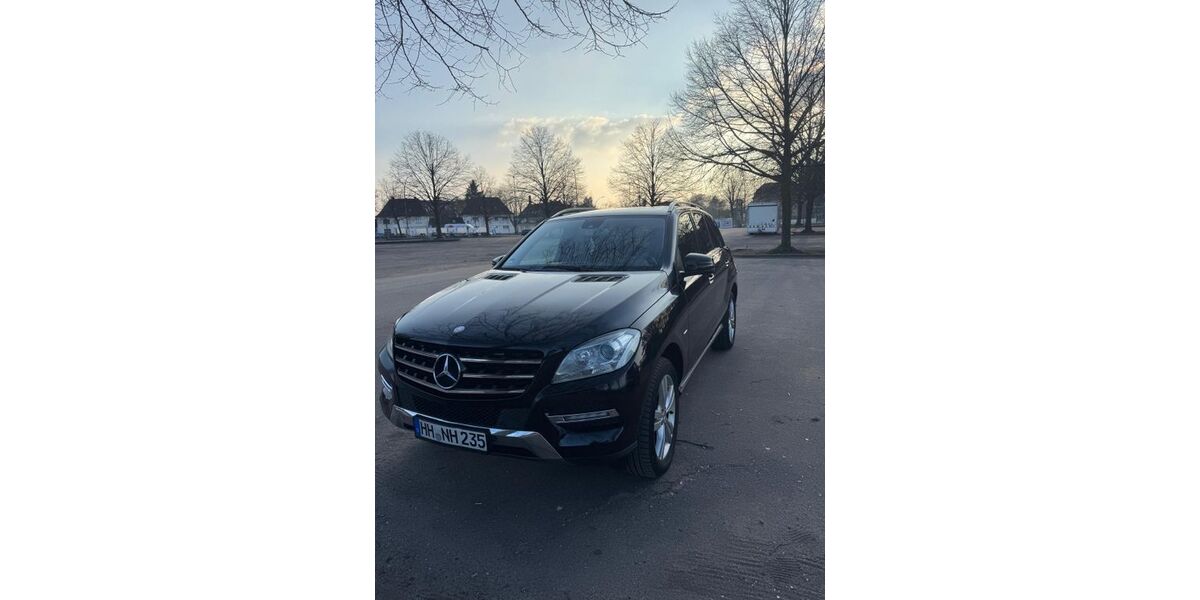 Mercedes-Benz ML 250 225.000 km 14.590 &euro; Hamburg 22607