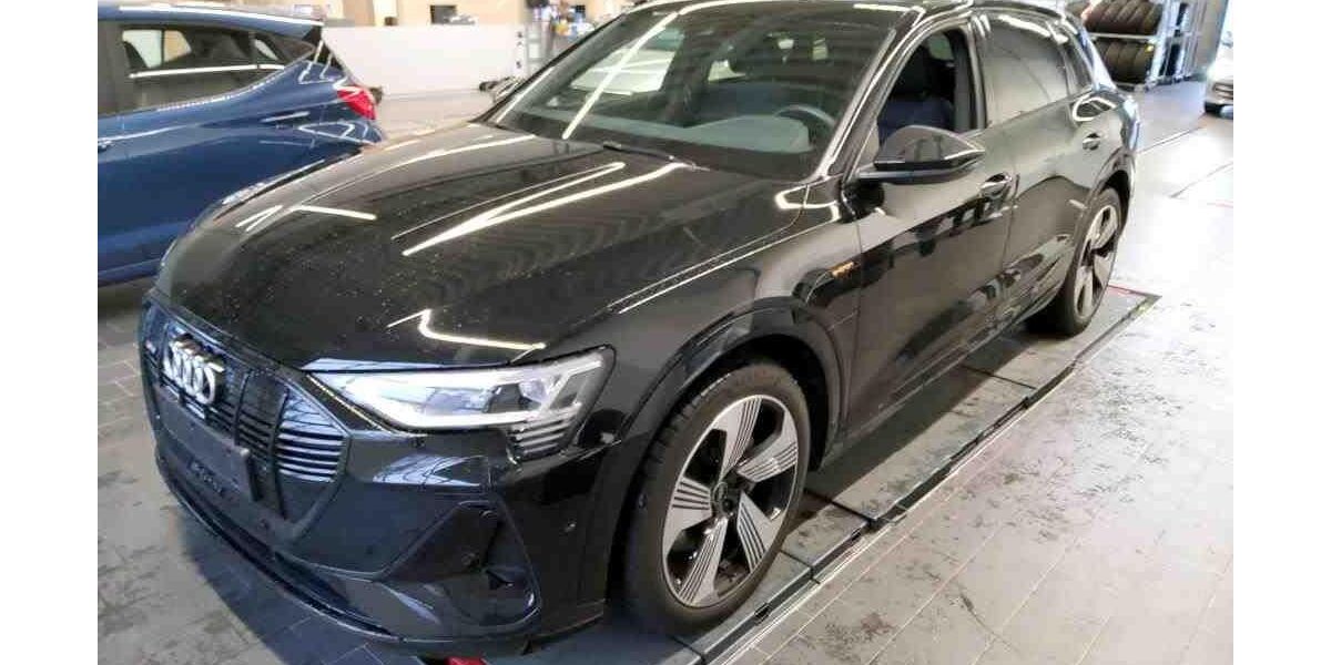 Audi e-tron 34.988 km 33.950 &euro; Hamburg 22047