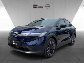 Gebrauchte Nissan Leaf