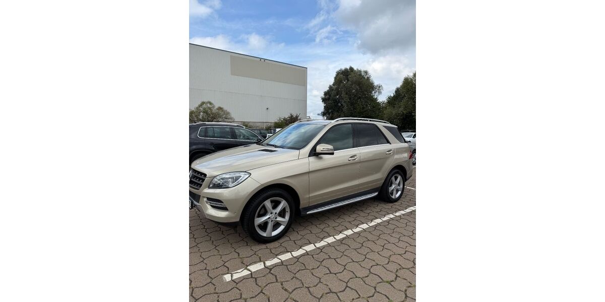 Mercedes-Benz ML 350 177.555 km 18.990 &euro; Hamburg 20537