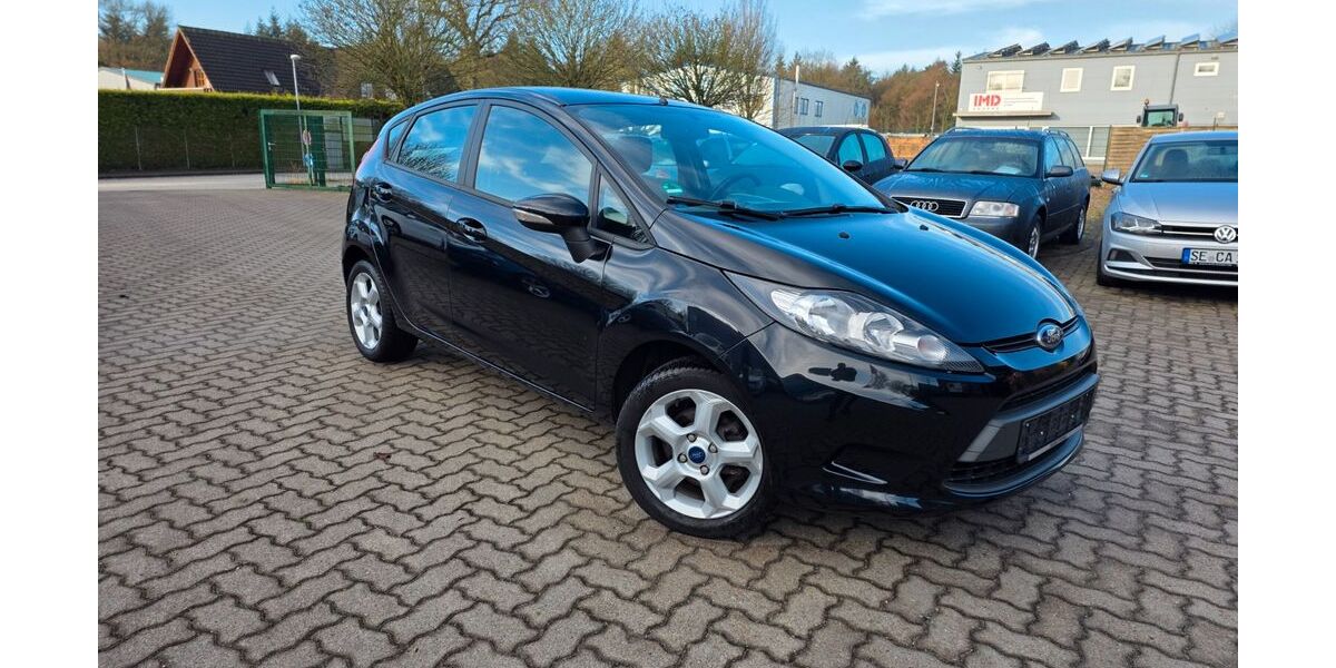 Ford Fiesta 149.000 km 4.499 &euro; HENSTEDT ULZBURG 24558