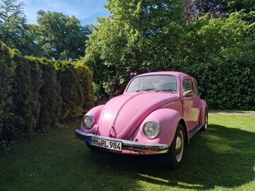 Gebrauchte VW Käfer