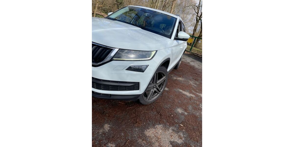 Skoda Kodiaq 200.000 km 12.999 &euro; Hamburg 22159