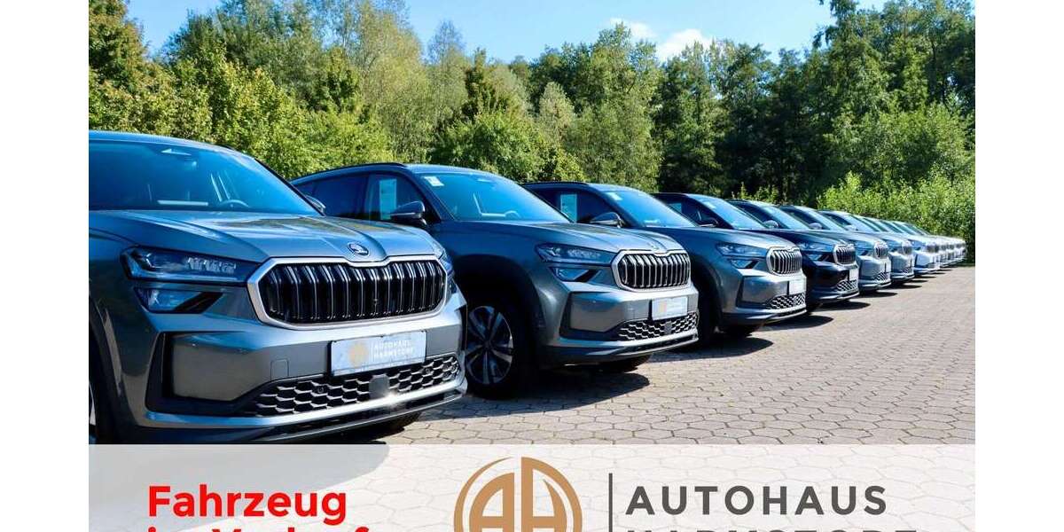 Skoda Karoq 89.800 km 23.490 &euro; Harmstorf 21228