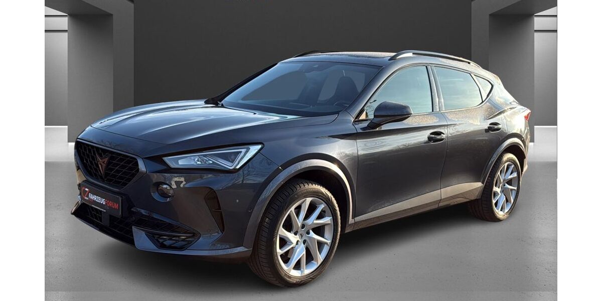 Cupra Formentor 68.627 km 25.900 &euro; Hamburg 22547