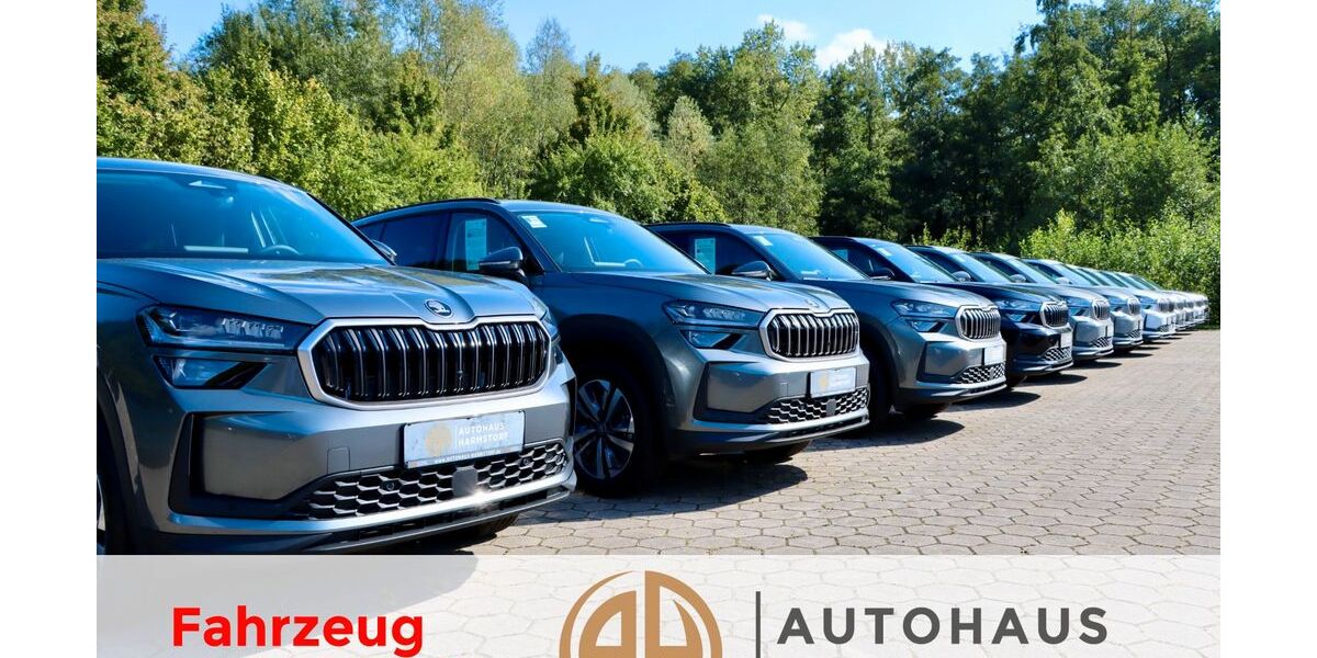 Skoda Karoq 89.900 km 23.490 &euro; Harmstorf/Hamburg 21228