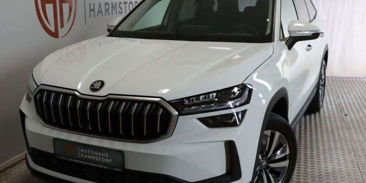 Skoda Kodiaq 1.060 km 38.989 &euro; Harmstorf 21228